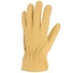 Picture 3/3 -Full cow grain leather glove. Shirred elastic back.