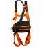 Picture 4/4 -Full body harness. 4 points.